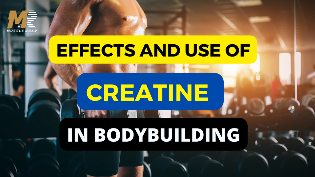 Effects and Use Of Creatine in Bodybuilding | MuscleRoar